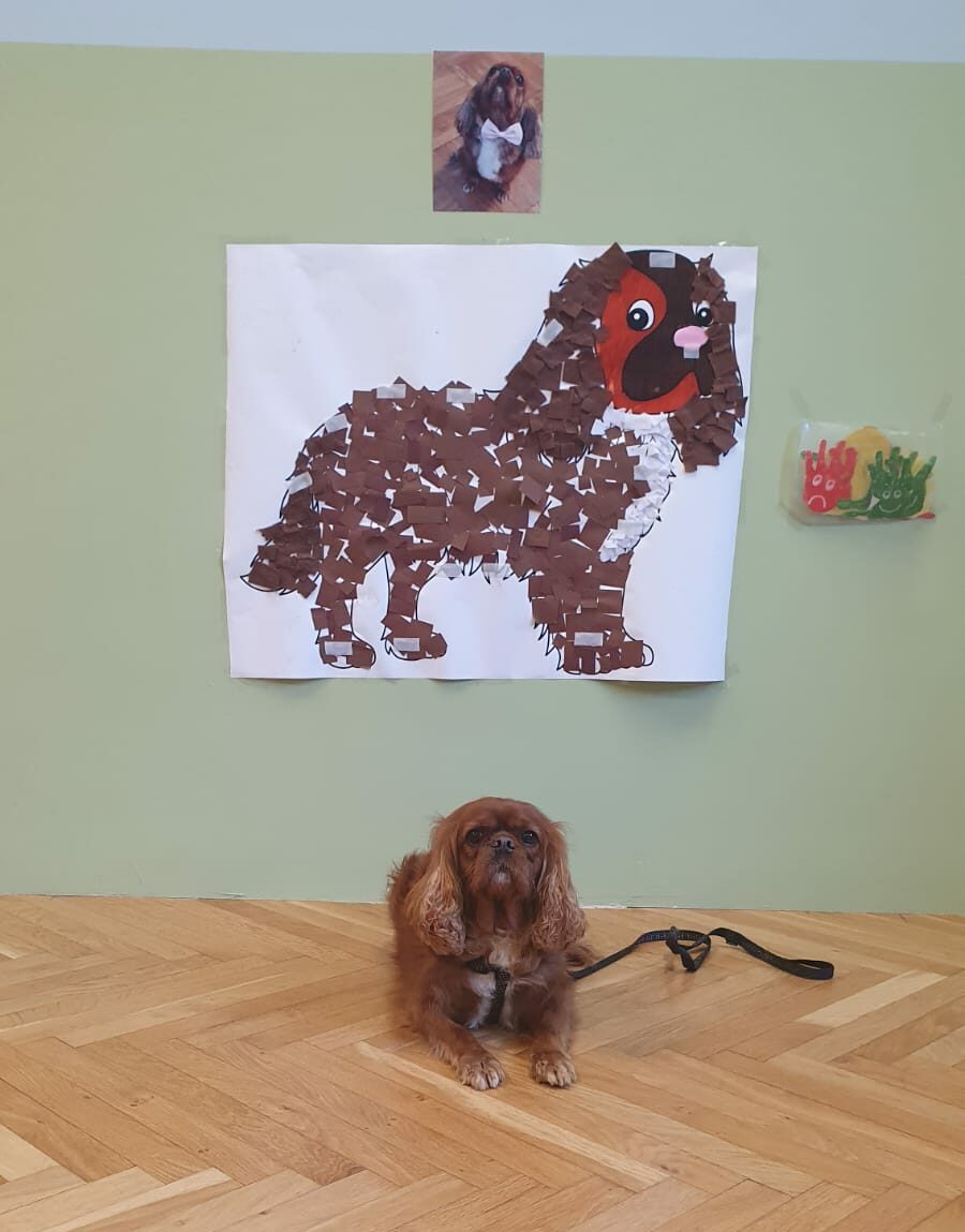 Foto di cane durante un intervento di pet therapy