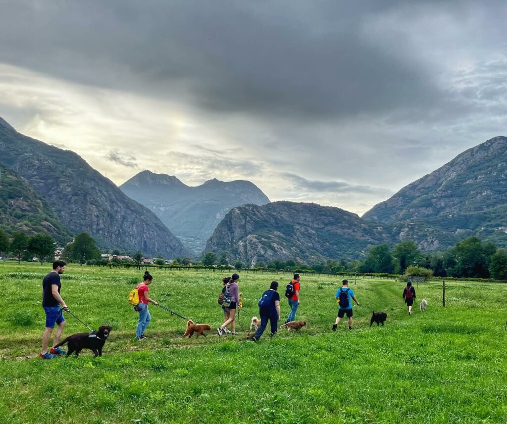 foto di persone con cani nella natura durante la passeggiata a 6 zampe organizzata da Come Una Piuma