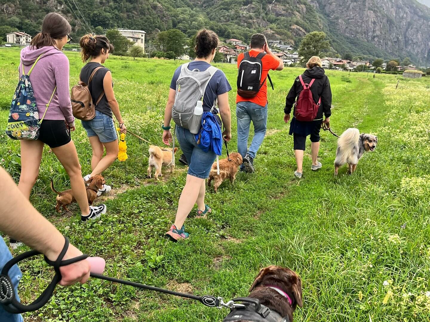 Foto di passeggiata nella natura con i cani