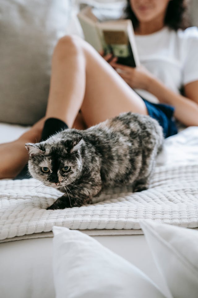 Foto di ragazza in lettura assistita con gli animali