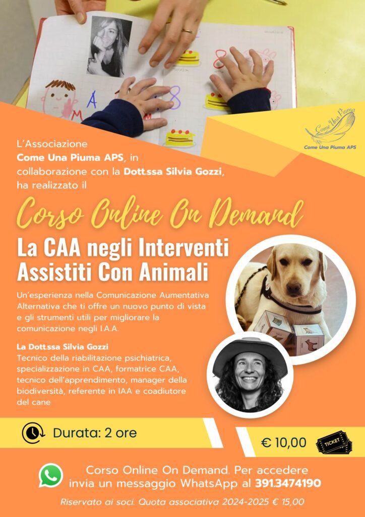 Locandina Corso on demand CAA