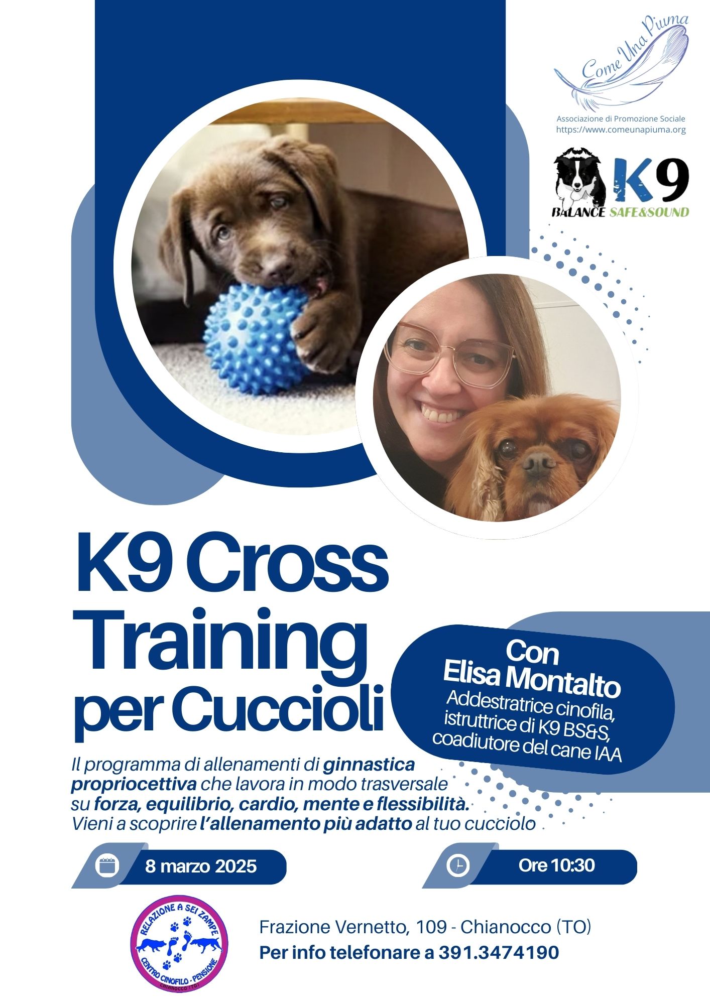 Flyer K9 Cross Training per cuccioli