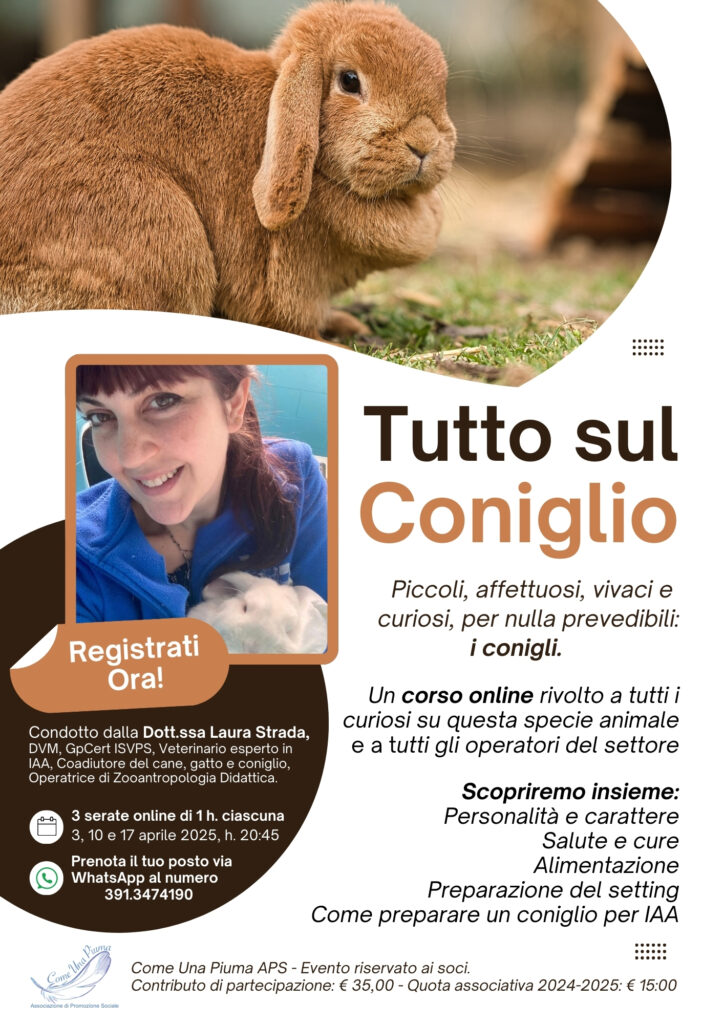 Flyer del corso "Tutto Sul Coniglio"